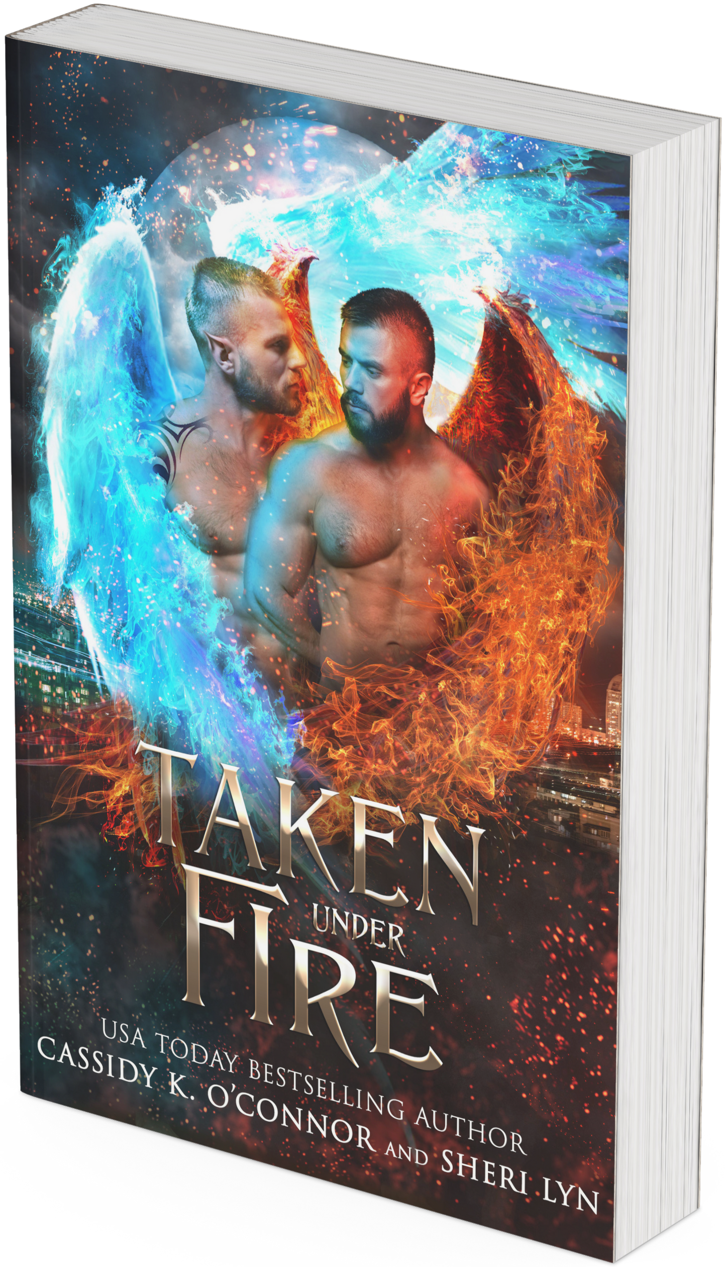 Taken Under Fire: Paranormal Investigative Series Book 3 Print Book
