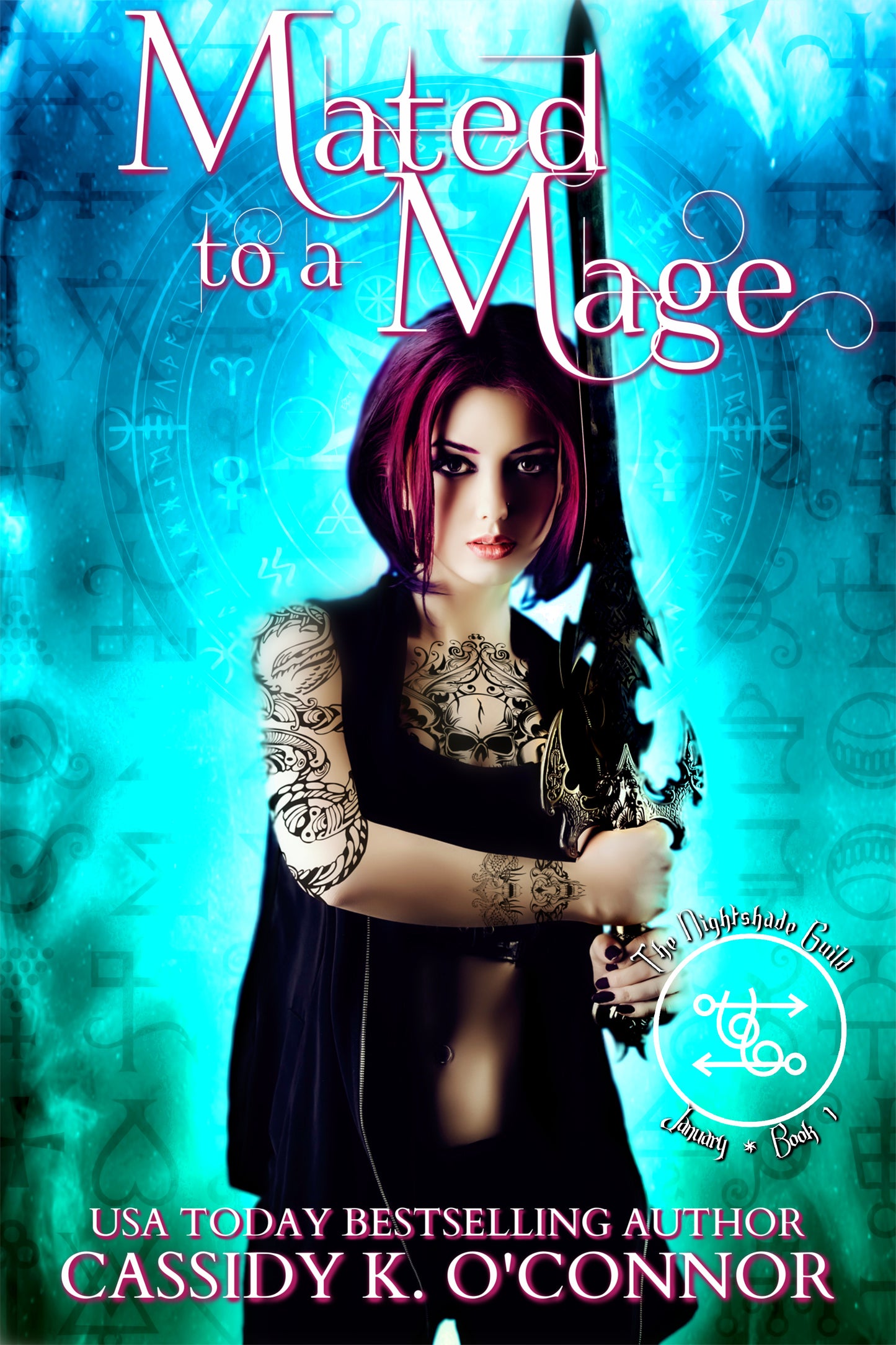 Mated to a Mage - Year 1 The Nightshade Guild: The Elven Princess