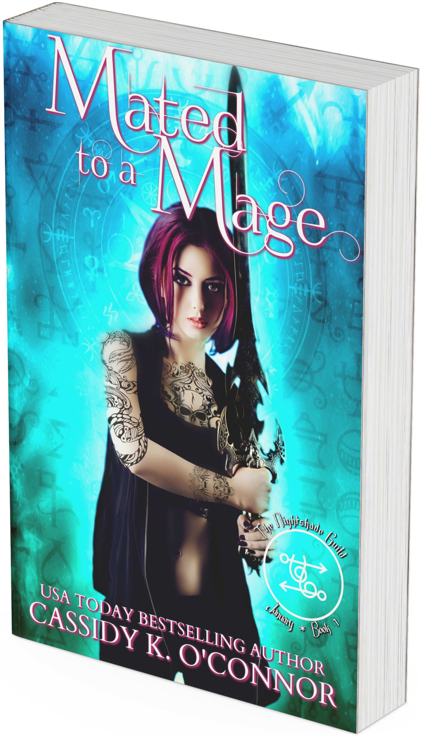 Mated to a Mage Print Book