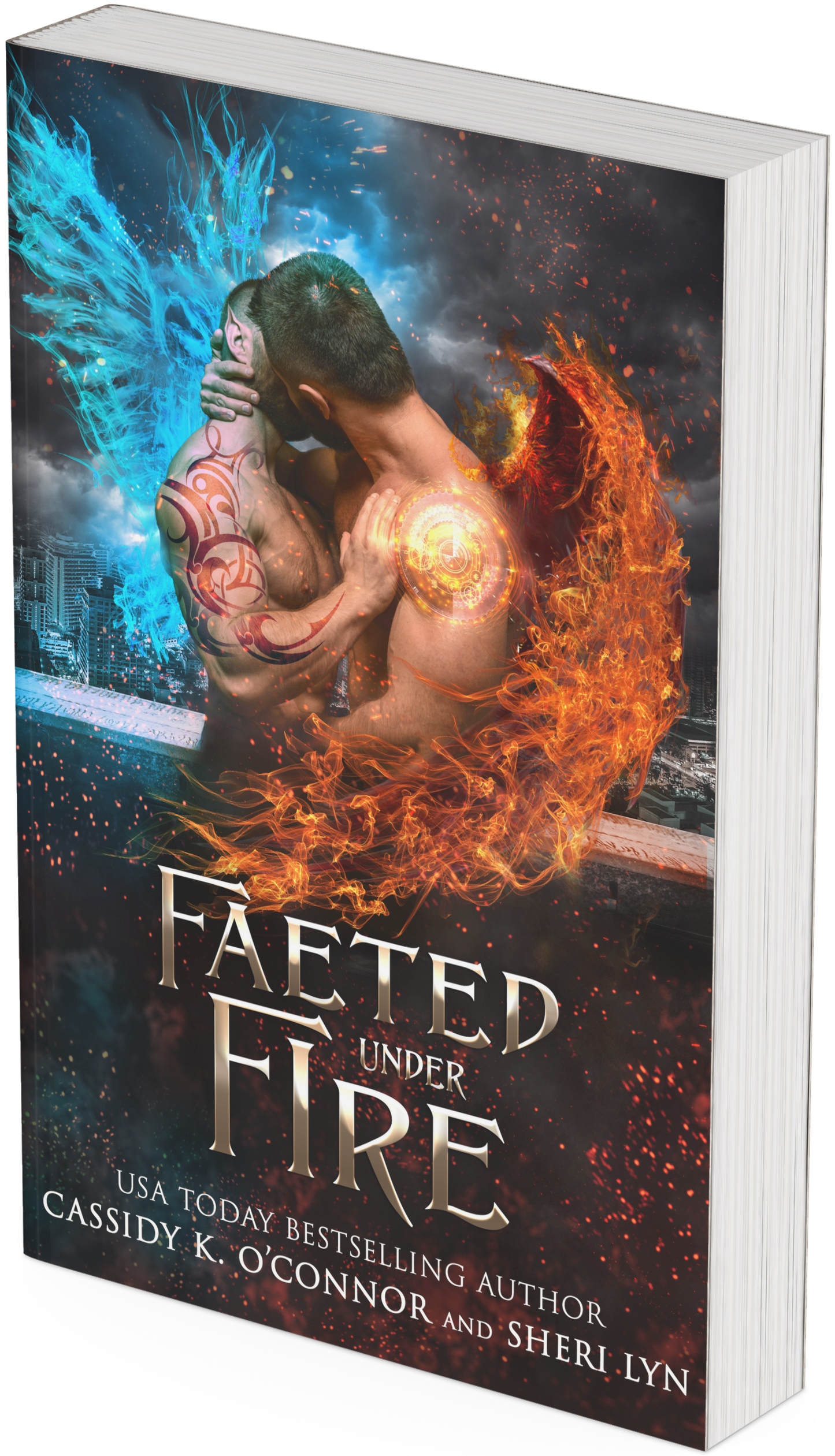 Faeted Under Fire Print Book