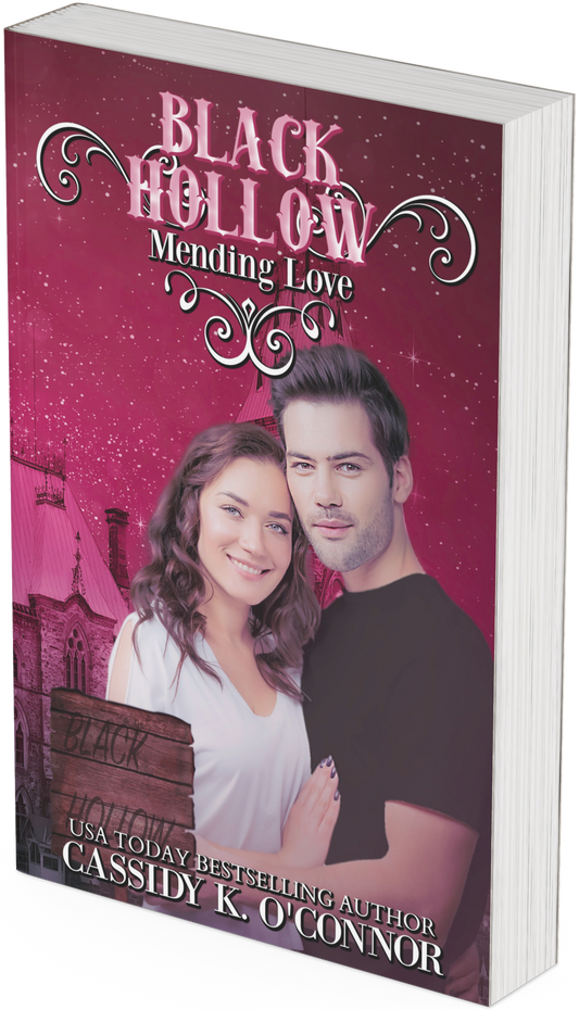 Mending Love Print Book